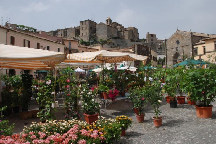 bolsena
