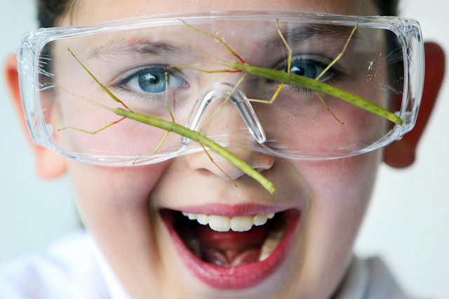 Foto: Flickr/Discover Science & Engineering