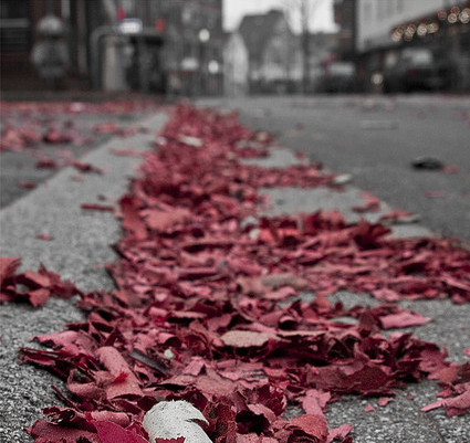 foto Flickr/josh lee