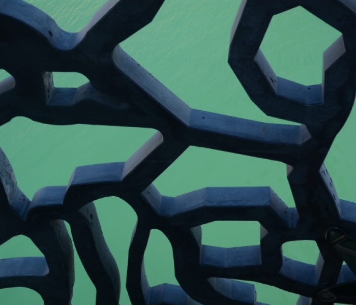 Foto: Unsplash/Christina Kirschnerova Foto: Unsplash/Christina Kirschnerova