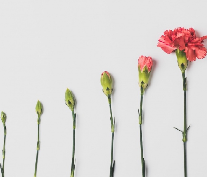 Foto: Unsplash/Edward Howell Foto: Unsplash/Edward Howell