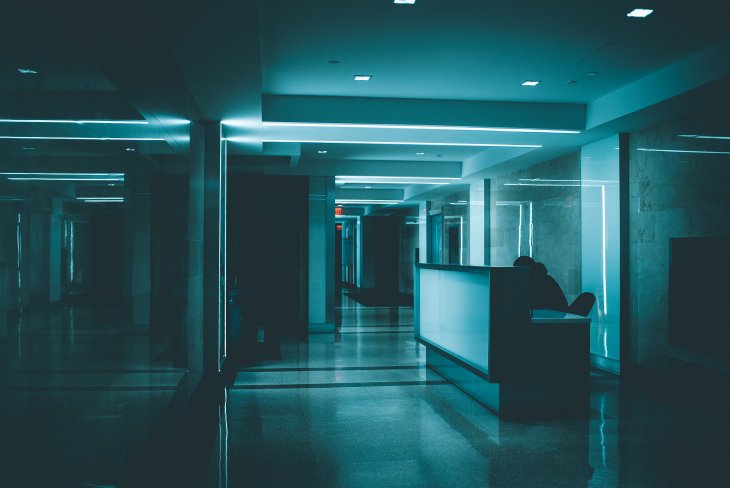 Foto: Unsplash/ Brandon Holmes Foto: Unsplash/ Brandon Holmes