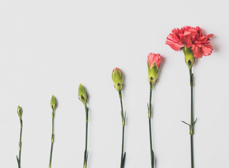 Foto: Unsplash/Edward Howell