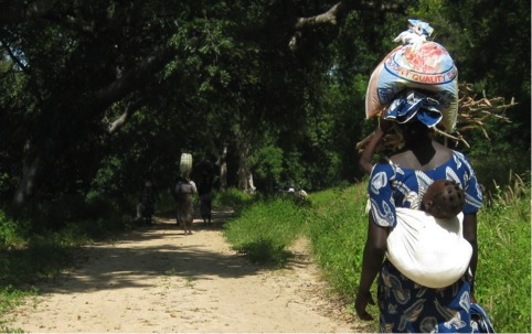 courtesy of Silvia Dall'Osto