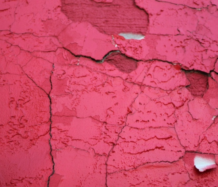 Foto: Unsplash/Kelly McCrimmon Foto: Unsplash/Kelly McCrimmon