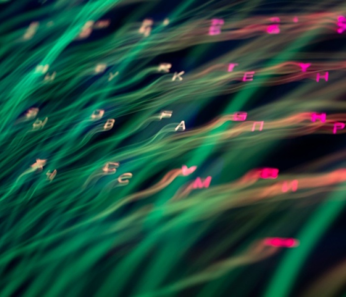 glossario filter bubble