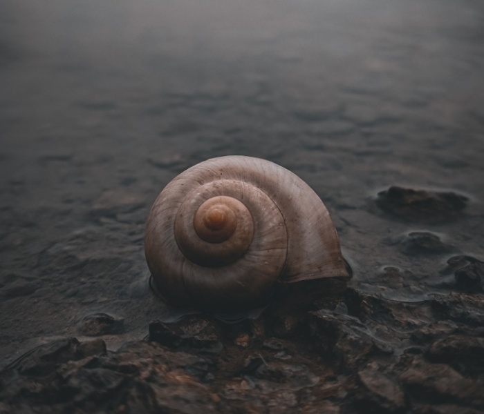 Foto: Unsplash/Denis Rayson Foto: Unsplash/Denis Rayson